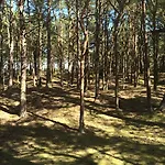 Ferienpark Hotel-&ferienanlage Kapitäns-häuser 3*